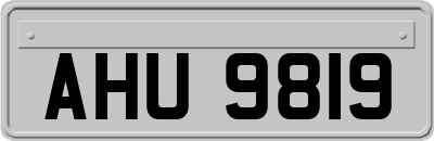 AHU9819