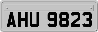 AHU9823