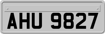AHU9827