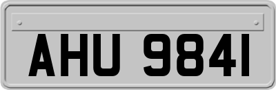 AHU9841