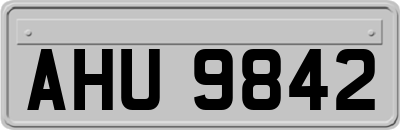 AHU9842
