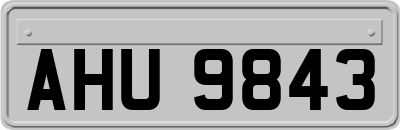 AHU9843