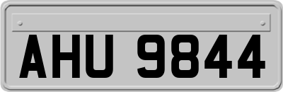 AHU9844