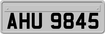 AHU9845