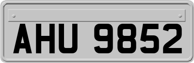 AHU9852