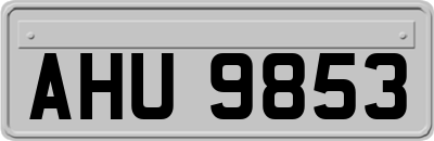 AHU9853