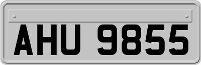 AHU9855