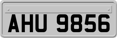 AHU9856