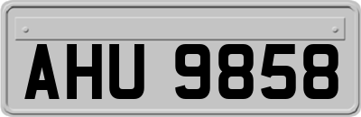 AHU9858