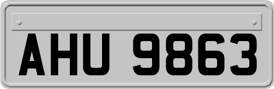 AHU9863
