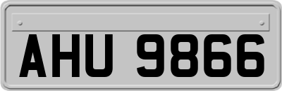 AHU9866