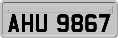 AHU9867