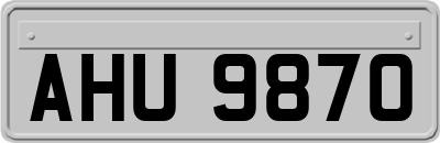 AHU9870