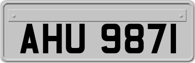 AHU9871