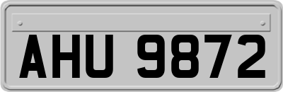 AHU9872