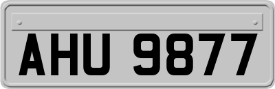 AHU9877