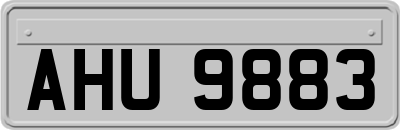 AHU9883