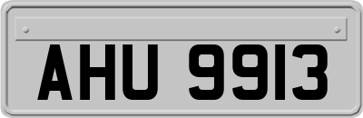 AHU9913