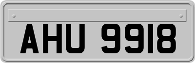 AHU9918