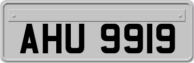 AHU9919