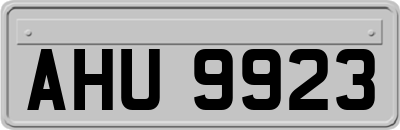 AHU9923