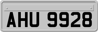 AHU9928