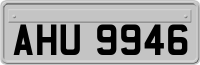 AHU9946