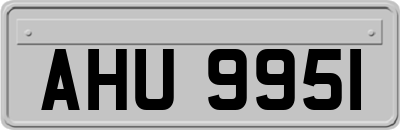 AHU9951