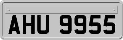 AHU9955