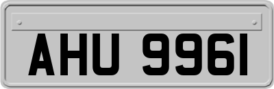 AHU9961