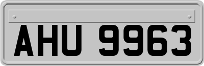AHU9963