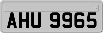 AHU9965