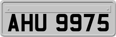 AHU9975