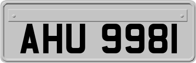 AHU9981