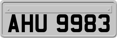 AHU9983