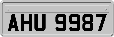 AHU9987