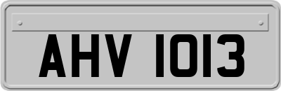 AHV1013