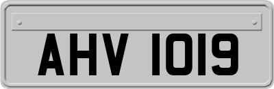 AHV1019