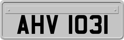 AHV1031