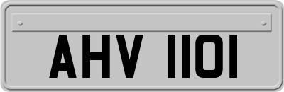 AHV1101