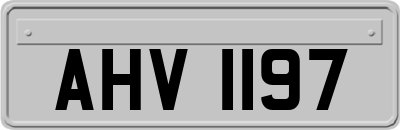 AHV1197