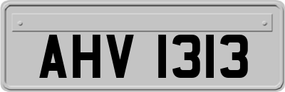 AHV1313