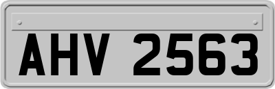 AHV2563