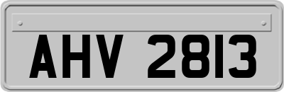 AHV2813