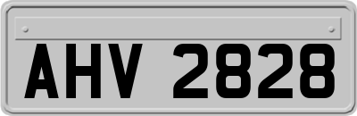 AHV2828