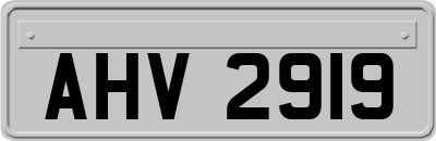 AHV2919