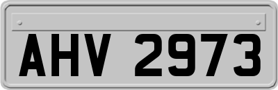 AHV2973