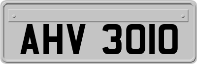 AHV3010