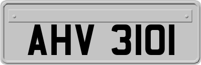 AHV3101