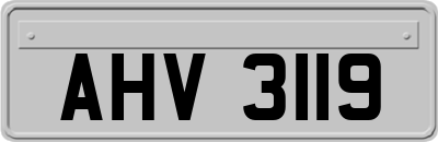AHV3119
